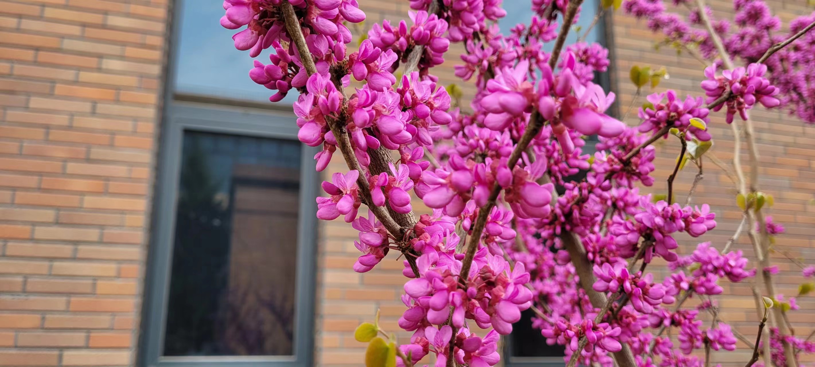 ���� ��(l��i)�L(ch��ng)�ſ�����