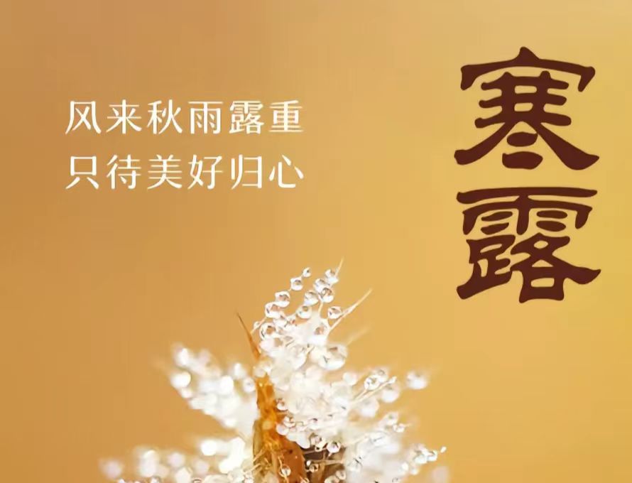 �L(f��ng)��(l��i)����¶����ֻ�����Úw�� ❙ ���պ�¶