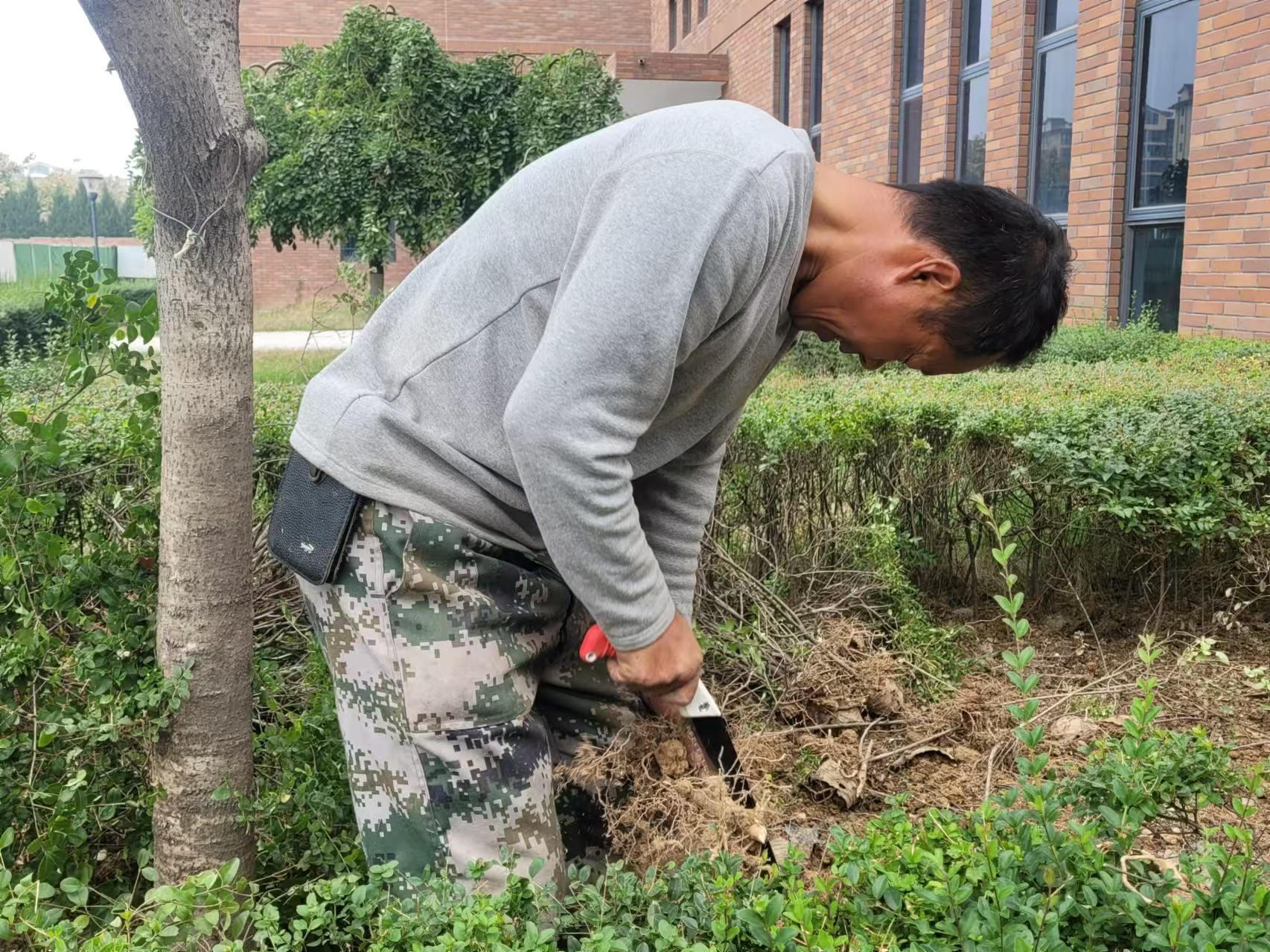 �L(ch��ng)�ſƼ��a(ch��n)�I(y��)�@